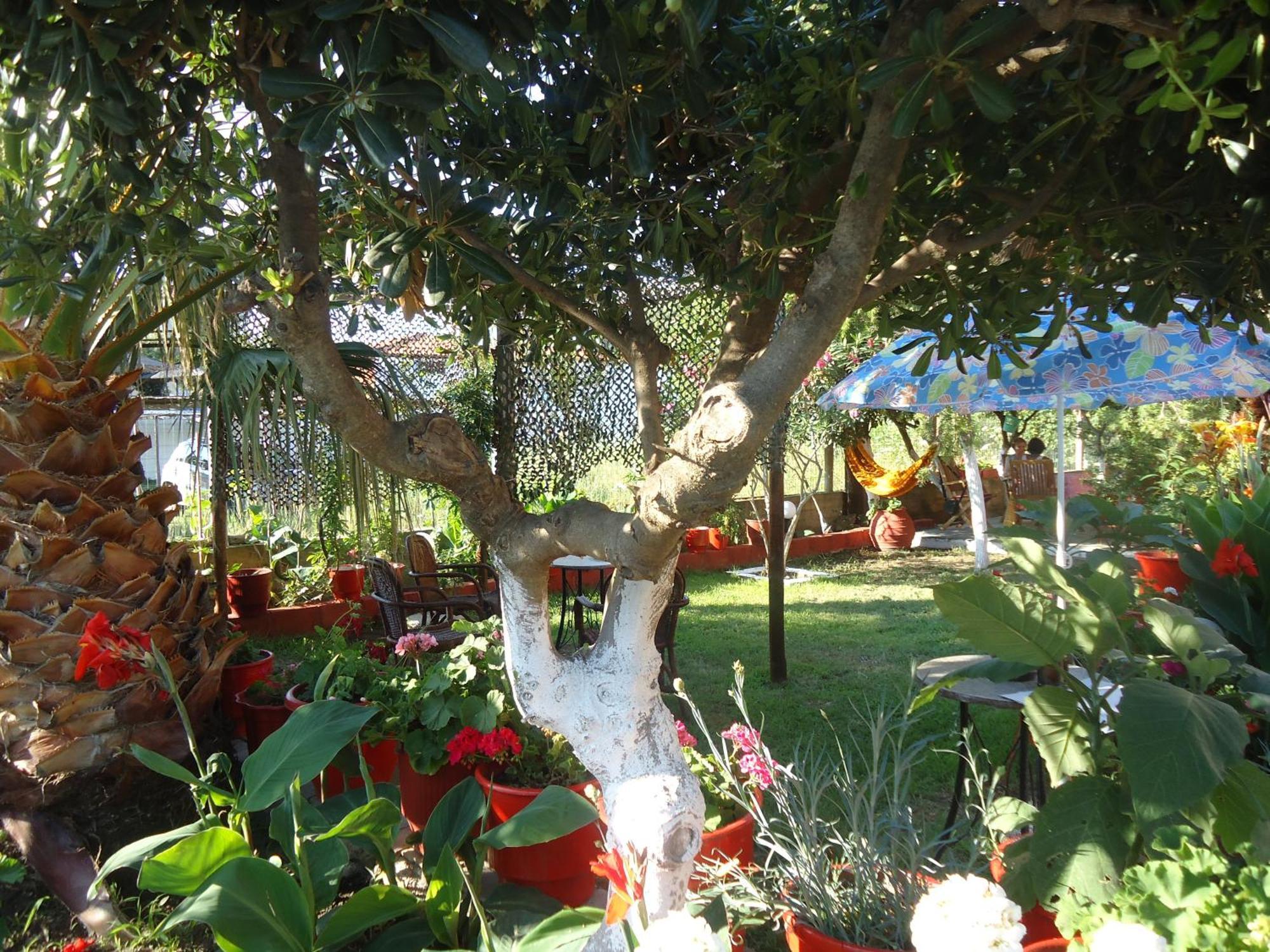House Souzanna Apartment Toroni Luaran gambar